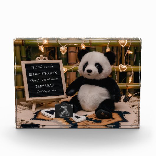 Schattige Panda Plushie zwangerschapsaankondiging Fotoblokken (Voorkant)