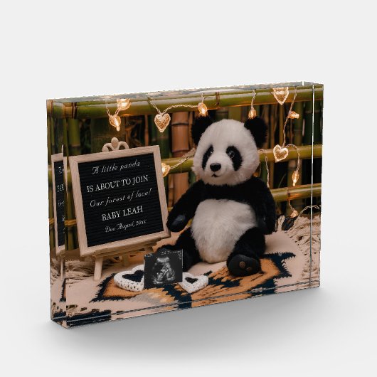 Schattige Panda Plushie zwangerschapsaankondiging Fotoblokken (Links)