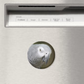 schattige papegaai magneet (Insitu (Vaatwasser))
