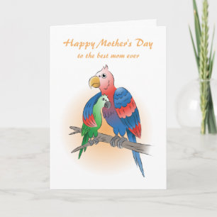 Schattige Papegaaien Gelukkige Moederdag Kaart