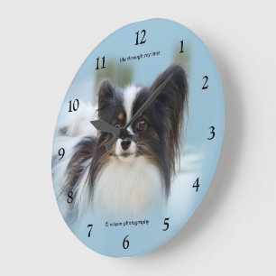 Schattige Papillon Toy Spaniel hond bij de steiger Grote Klok