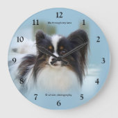 Schattige Papillon Toy Spaniel hond bij de steiger Grote Klok (Voorkant)