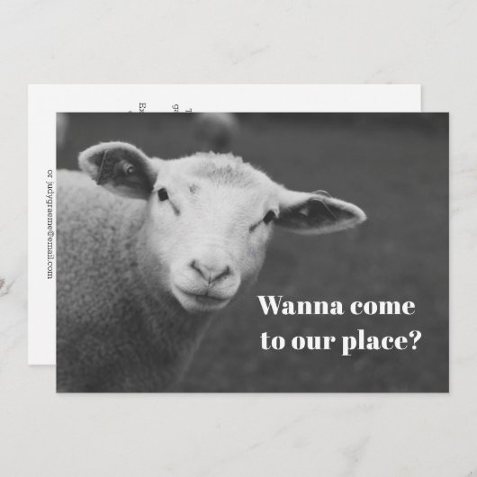 Schattige Pasen Uitnodiging (Voorkant / Achterkant)