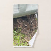 Schattige pasgeboren konijnen