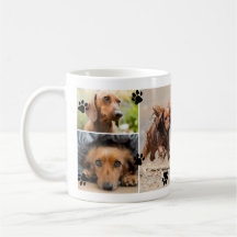 Schattige Paw Prints Zes Pet Foto's