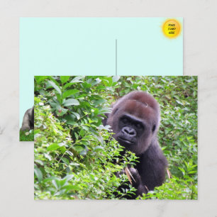Schattige Peek-A-Boo Gorilla Briefkaart