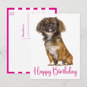Schattige Pekingees Verjaardag Puppydog Verjaardag Briefkaart