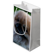 Schattige Pekingese Puppy Klein Cadeauzakje (Achterkant Gekanteld)