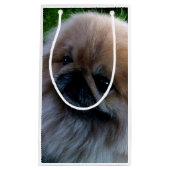 Schattige Pekingese Puppy Klein Cadeauzakje (Voorkant)