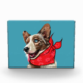 Schattige Pembroke Welsh Corgi Fotoblokken
