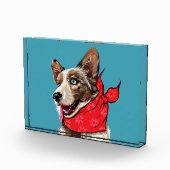 Schattige Pembroke Welsh Corgi Fotoblokken (Rechts)