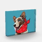 Schattige Pembroke Welsh Corgi Fotoblokken (Links)