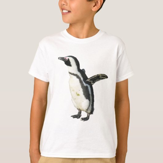 Schattige Penguin Boulders Beach, Kaapstad, SA T-shirt (Voorkant)