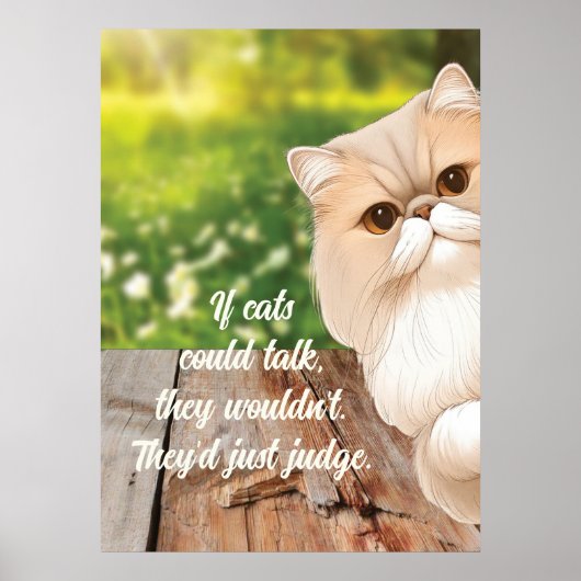 Schattige Perzische Kat Kijkt Rond Poster (Voorkant)