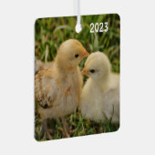 Schattige Pet Baby Chicks Metalen Ornament (Voorkant Rechts)