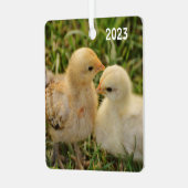 Schattige Pet Baby Chicks Metalen Ornament (Voorkant links)