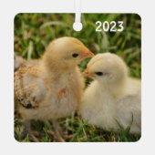 Schattige Pet Baby Chicks Metalen Ornament (Achterkant)