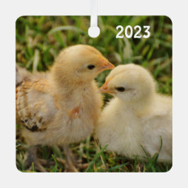 Schattige Pet Baby Chicks Metalen Ornament