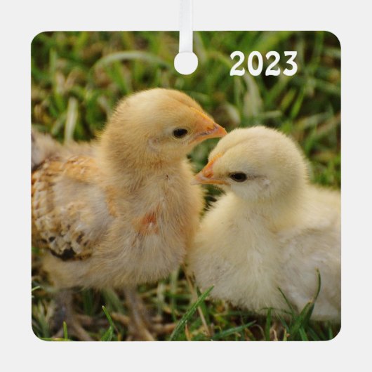 Schattige Pet Baby Chicks Metalen Ornament (Voorkant)
