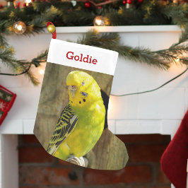 Schattige Pet Bird Lover Foto en Naam Gepersonalis Kleine Kerstsok
