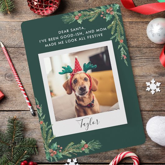 Schattige Pet Photo Script Funny Dog Christmas Feestdagenkaart