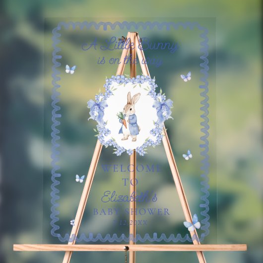 Schattige Peter Rabbit Boy Baby shower Welkom Acryl Bord (Neutraal)