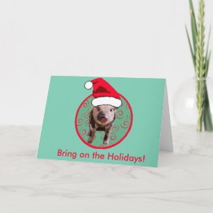 Schattige Pig Santa - Blauwgroen en Rood Feestdagen Kaart