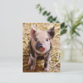 Schattige PIglet-Briefkaart Briefkaart (Staand voorkant)