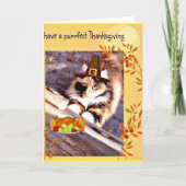 Schattige Pilgrim Cat Thanksgiving wenskaart Feestdagen Kaart (Voorkant)