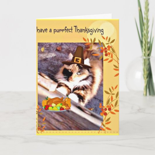 Schattige Pilgrim Cat Thanksgiving wenskaart Feestdagen Kaart (Voorkant)