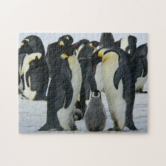 Schattige pinguïn familie Arctic Wildlife Legpuzzel (Horizontaal)