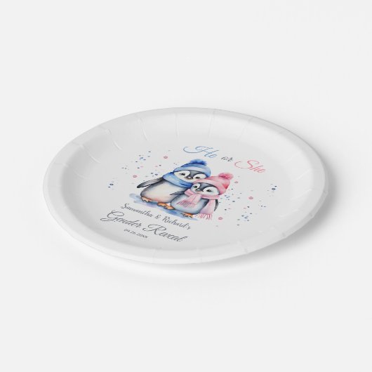 Schattige Pinguïn Geslacht Onthullen Hij of Zij Wi Papieren Bordje (Gekanteld)