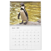 Schattige pinguïns 2025 kalender (Mar 2027)