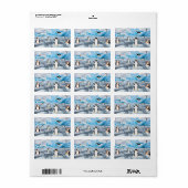 schattige pinguïns op Antarctica-ijs Etiket (Full Sheet)