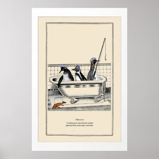 Schattige pinguïns Poster (Voorkant)