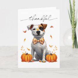 Schattige Pit Bull Dankbaar voor Herfstpompoenen Kaart