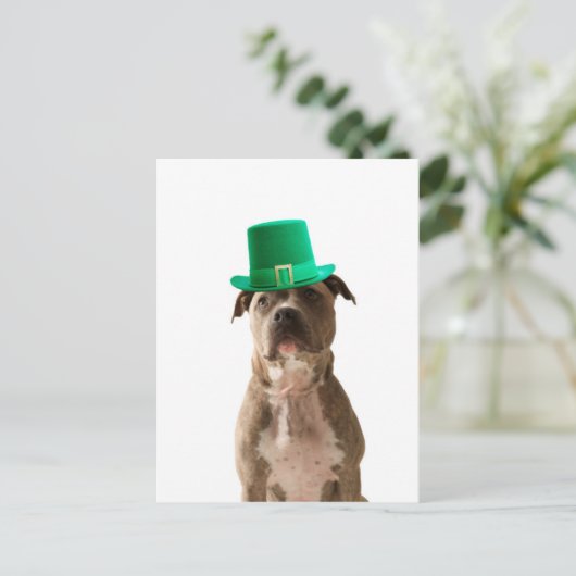 Schattige Pit Bull Dog Pet St. Patrick's Day Briefkaart (Staand voorkant)