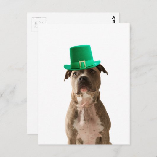 Schattige Pit Bull Dog Pet St. Patrick's Day Briefkaart (Voorkant / Achterkant)