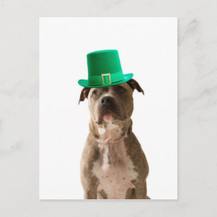 Schattige Pit Bull Dog Pet St. Patrick's Day Briefkaart