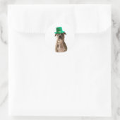 Schattige Pit Bull Dog Pet St. Patrick's Day Ronde Sticker (Tas)