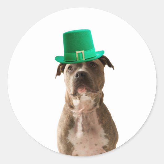 Schattige Pit Bull Dog Pet St. Patrick's Day Ronde Sticker (Voorkant)