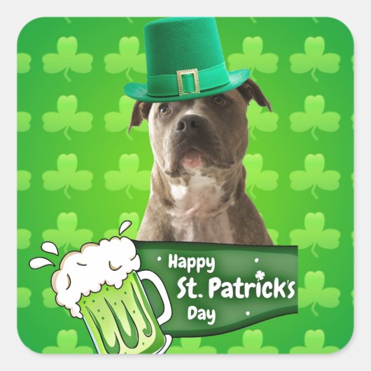 Schattige Pit Bull Dog Pet St. Patrick's Day w Clo Vierkante Sticker (Voorkant)