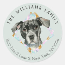 Schattige Pit Bull Dog Portrait | Label retouradre
