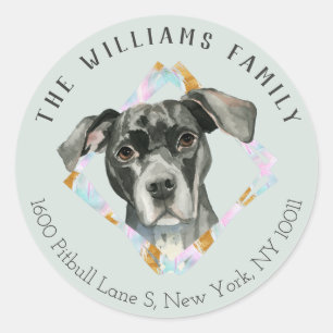 Schattige Pit Bull Dog Portrait   Label retouradre