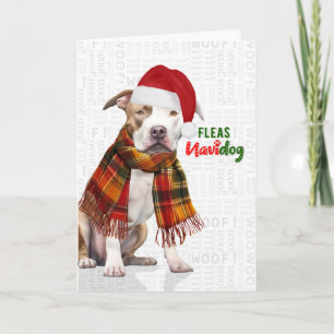 Schattige Pit Bull Hond Vlooien Navidog Kerstmis Feestdagen Kaart