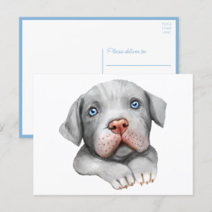 Schattige Pit Bull Pittie Hondje Hondenliefde Hall Briefkaart