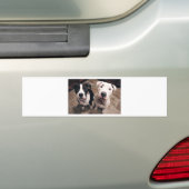 schattige pitbull puppy's honden bumpersticker (Op auto)