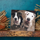 schattige pitbull puppy's honden fotoplaat (Zijkant)