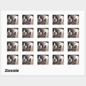 schattige pitbull puppy's honden vierkante sticker (Vel)