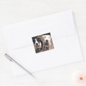 schattige pitbull puppy's honden vierkante sticker (Envelop)